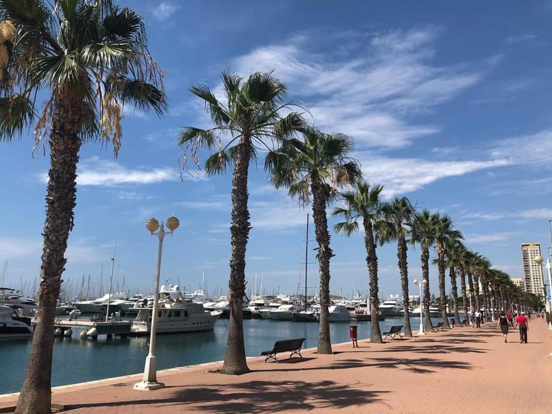 Estudio De Lujo Casaturis En El Corazon De Alicante A114 Extérieur photo